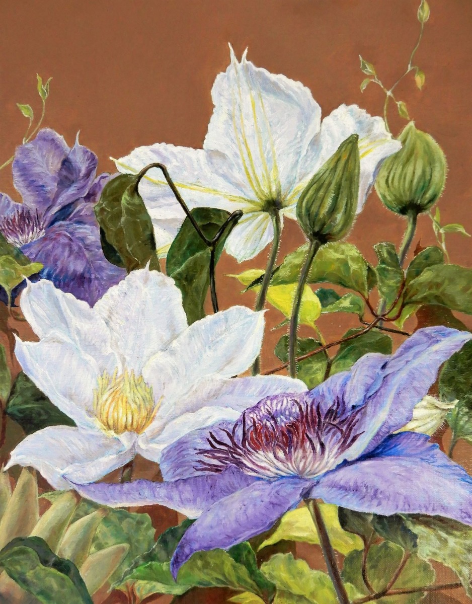 日本画　クレマチス クレマチス」 by 桃代｜Artmeter｜暮らしを彩るアートが、きっと見つかる