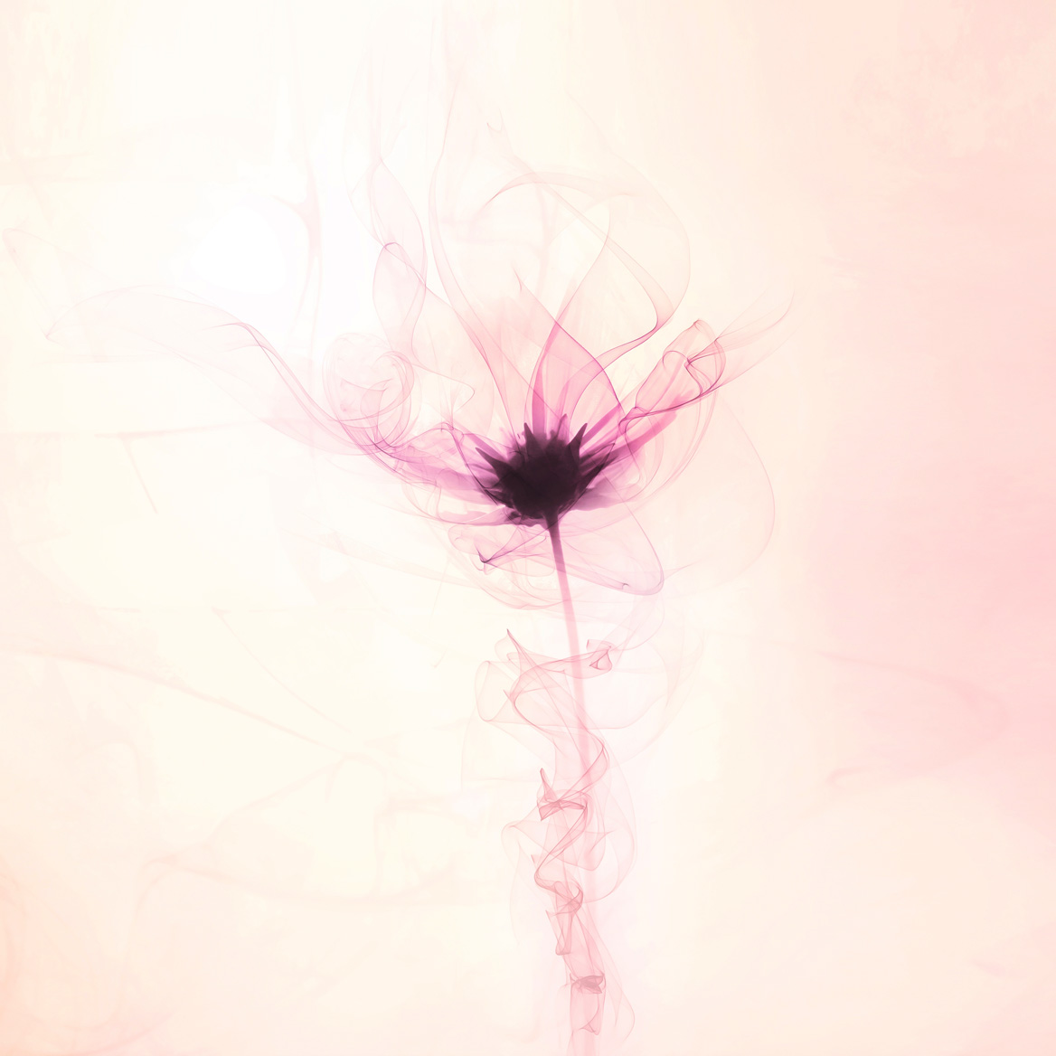 【淡い儚い夢】油彩画　作者不詳 淡い儚い夢】油彩画 作者不詳