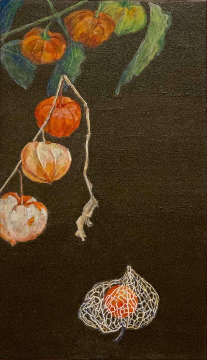 油彩画 植物の花ホオヅキ 油彩画 植物の花ホオヅキ