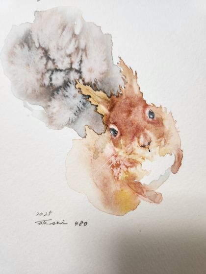 No.480