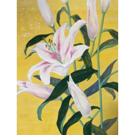 アートポスター：６０石組と黄色いゆり ゆり - YUKI ｜コスモスギャラリー：インテリア絵画の購入・レンタル