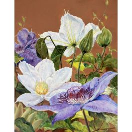 クレマチス - 平塚加代子 ｜コスモスギャラリー：インテリア絵画の購入