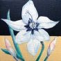 two-tone 　花２