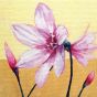 two-tone 　花３