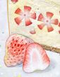 苺咲くレアチーズケーキ