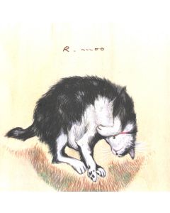 お昼猫