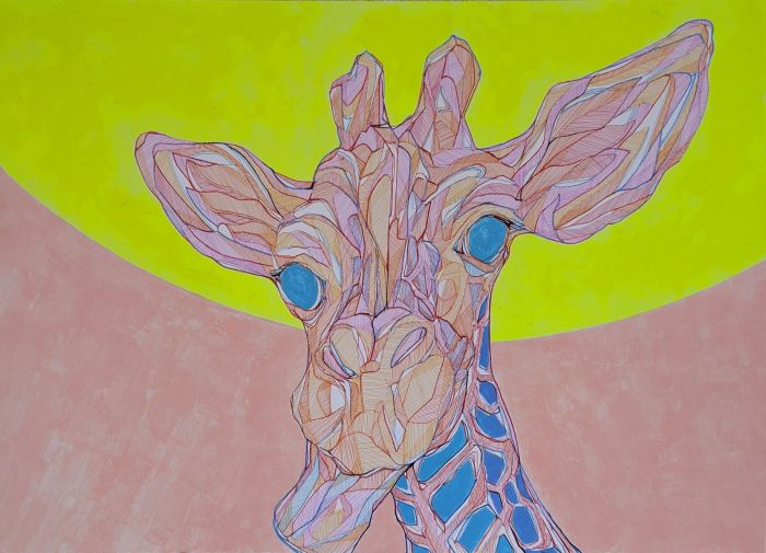 giraffe Y